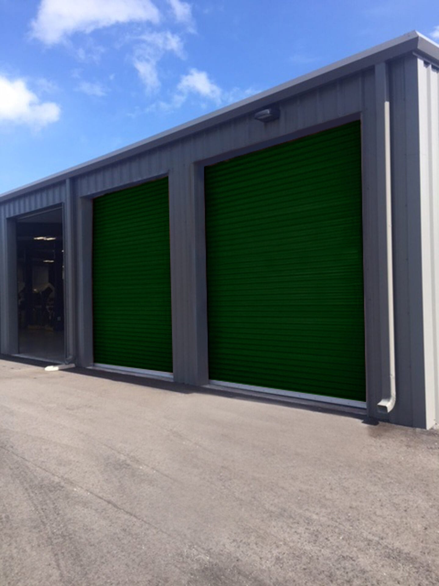 SDD_Door_3652_Tier1_Fern-Green__38571.1622664996